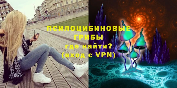 МДПВ Алзамай