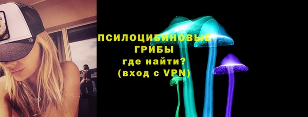 МДПВ Алзамай
