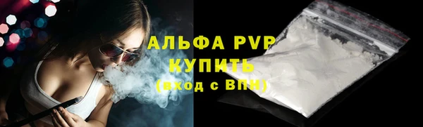 стаф Алексин