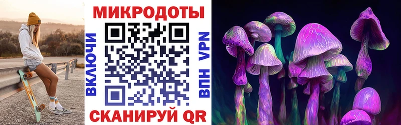 Псилоцибиновые грибы GOLDEN TEACHER Сатка